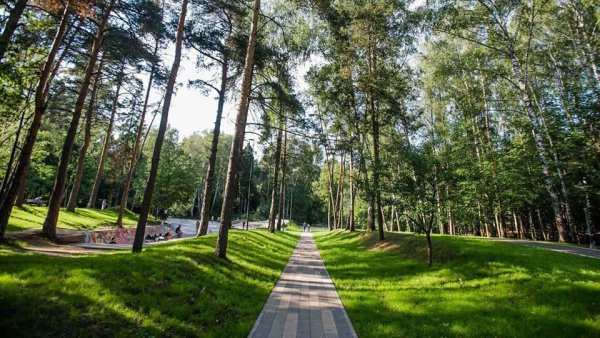 Лесопарки парки и леса Балашихи
