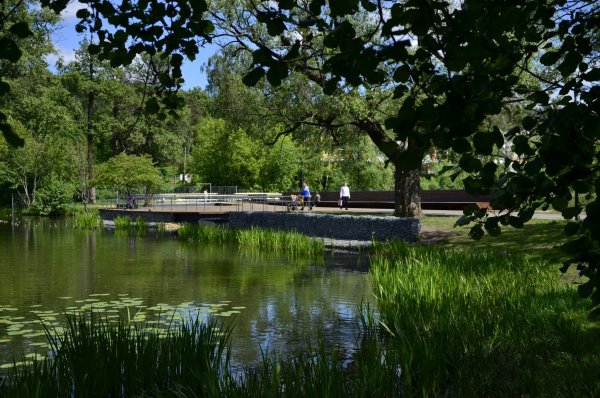 Парк Пехра Балашиха