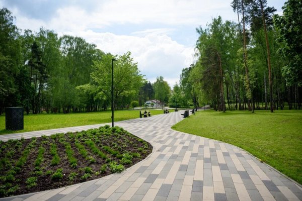 Парк Солнечная Пехорка Балашиха