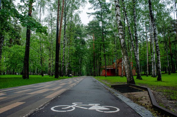 Велодорожки парк Пехорка Балашиха