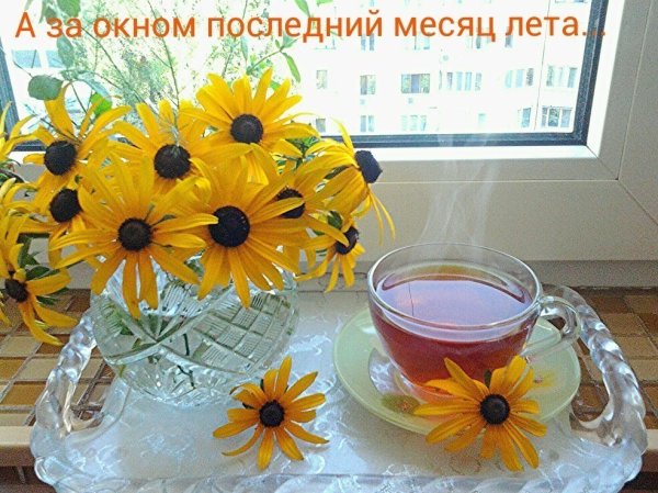 Яркого солнечного утра и прекрасного настроения