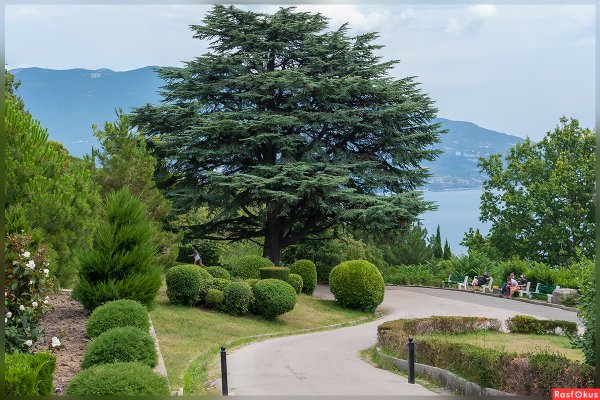 Ливадийский парк Ливадия