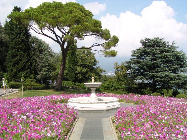 Ливадийский парк Ливадия Крым