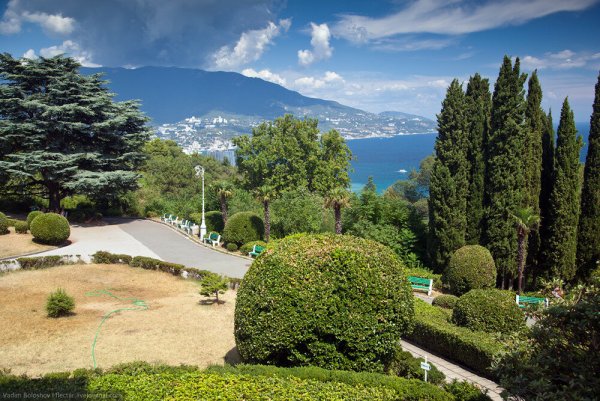 Ливадийский парк Ливадия Крым