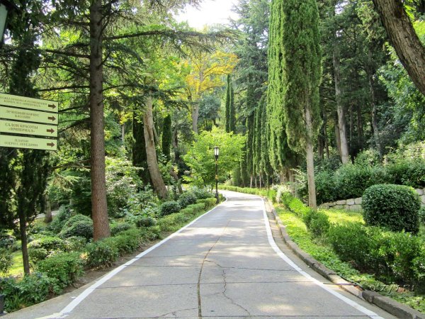 Парк Ливадия в Ялте