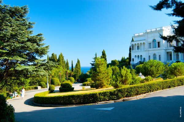 Ливадийский парк Ливадия Крым