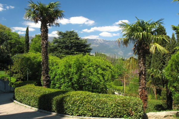 Ливадийский дворец в Крыму парк