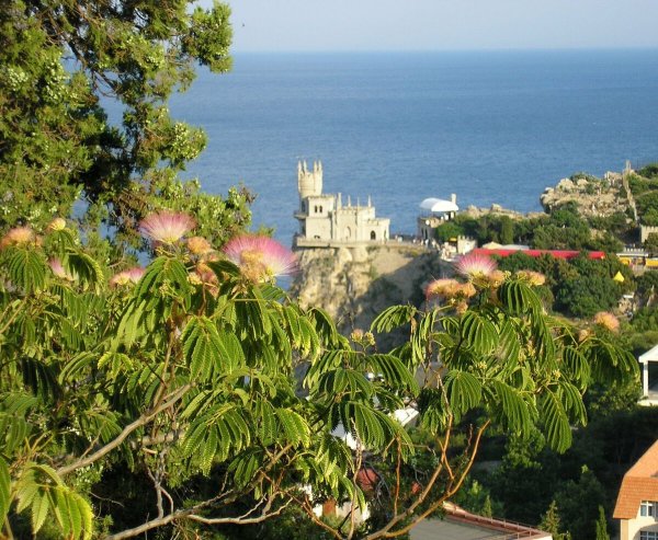 Ливадийский парк в Ялте