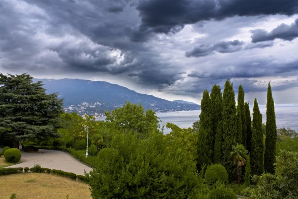 Ливадийский парк в Ялте