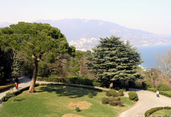 Ливадийский дворец в деревьях