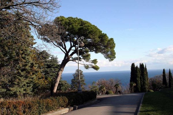 Ливадийский парк Солнечная тропа