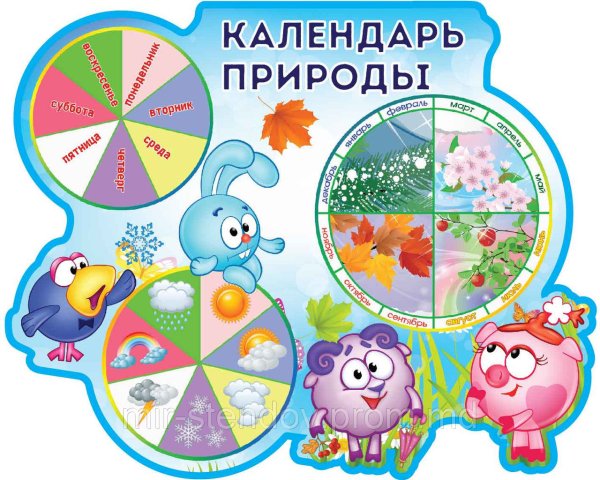 Календарь природы для детского сада