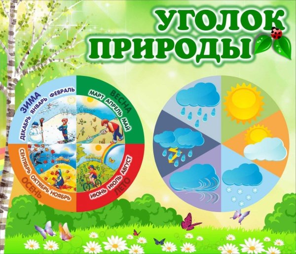 Уголок пртродыв детском саду