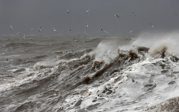 Шторм на Ладожском озере