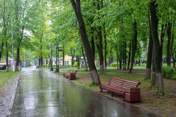 Парк Талалихина Подольск
