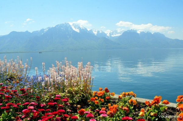 Женевское озеро Альпы