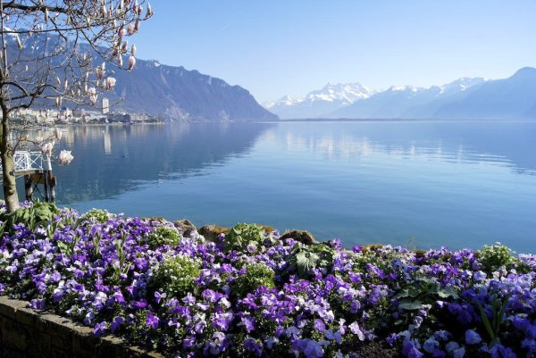 Озеро Монтре Швейцария