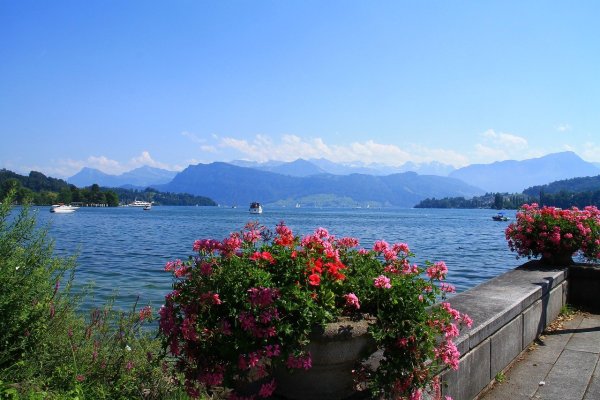 Luzern Швейцария горы озеро