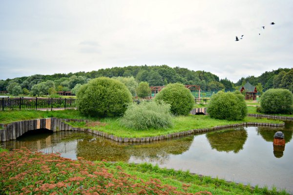 Терлецкий парк пруды
