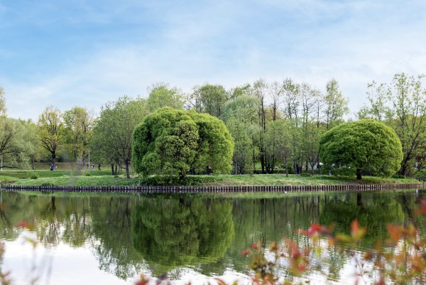 Терлецкий парк Москва
