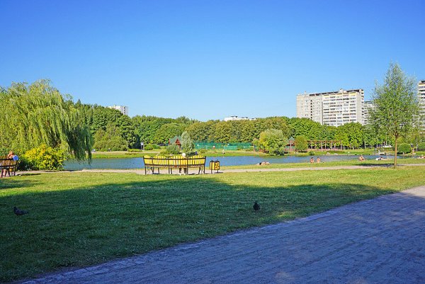 Терлецкий лесопарк Новогиреево