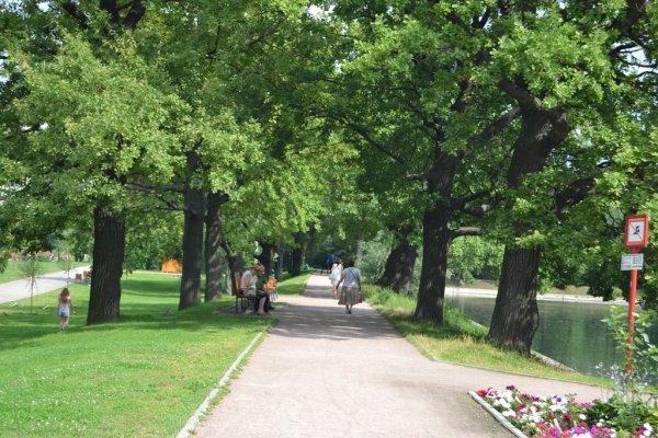 Парк в Перово Терлецкий