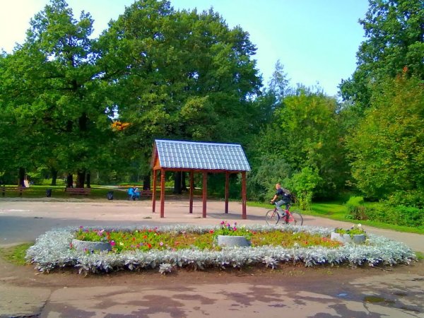 Лесопарк в Новогиреево