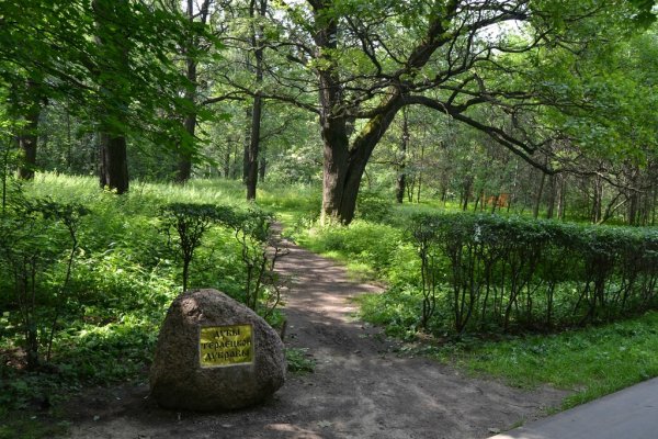 Терлецкий парк Москва