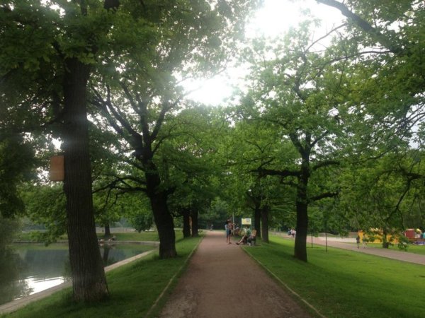 Парк в Перово Терлецкий