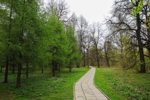 Терлецкий лесопарк