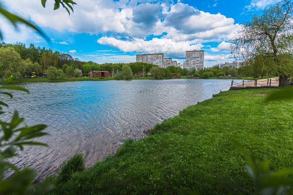 Терлецкий парк Дубрава