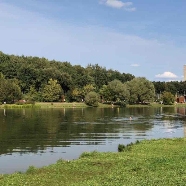 Терлецкий лесопарк Москва