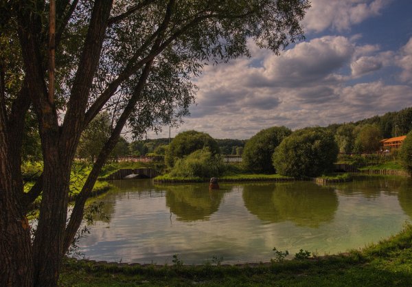 Терлецкий лесопарк