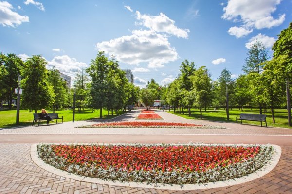 Гончаровский парк Москва