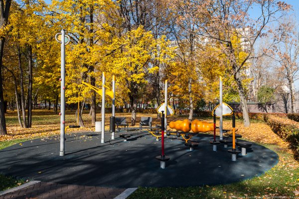 Гончаровский парк Москва