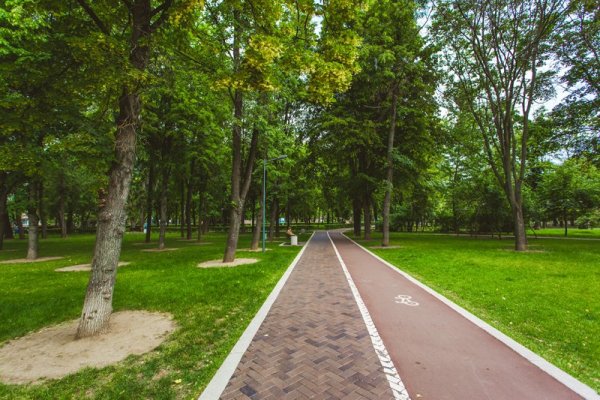 Гончаровский парк Бутырский