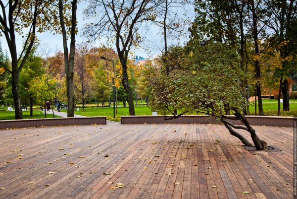 Улица в парке