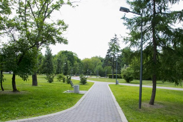 Гончаровский парк в 2004