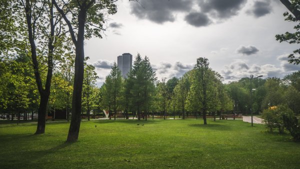 Гончаровский парк