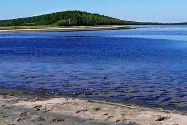 Курорт озеро Медвежье Курганская