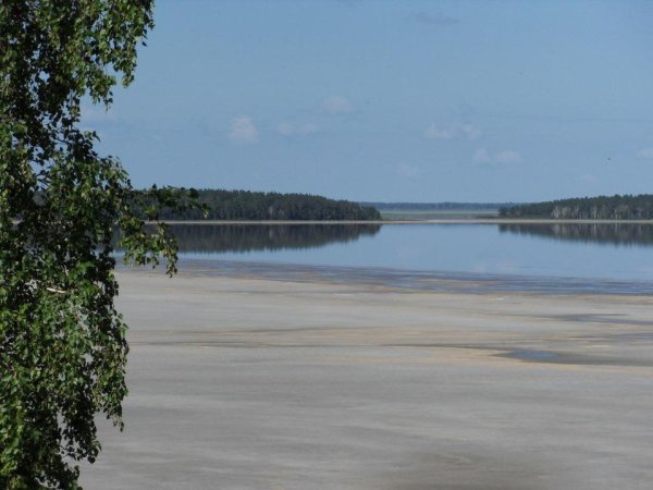 Озеро Медвежье Курганская