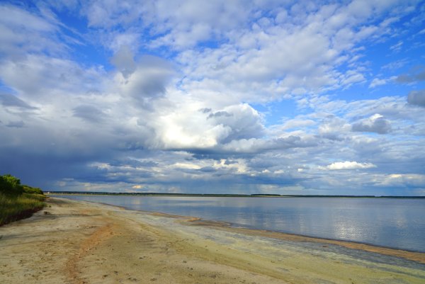 Озеро Медвежье Курганская