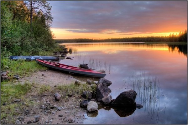 Озеро Медвежье Курганская область фото