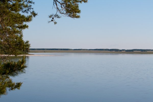 Озеро Медвежье Курган