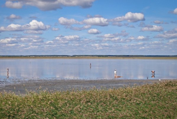 Курорт озеро Медвежье Курганская область
