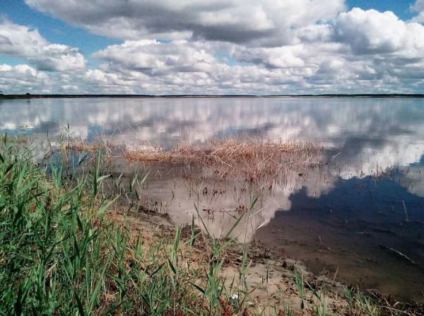 Курган соленое озеро