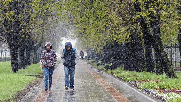 Холодное лето в городе
