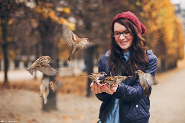 Девушка с птицей на руке
