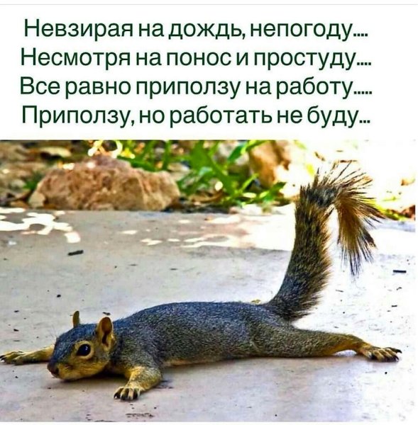 Приколы про работу