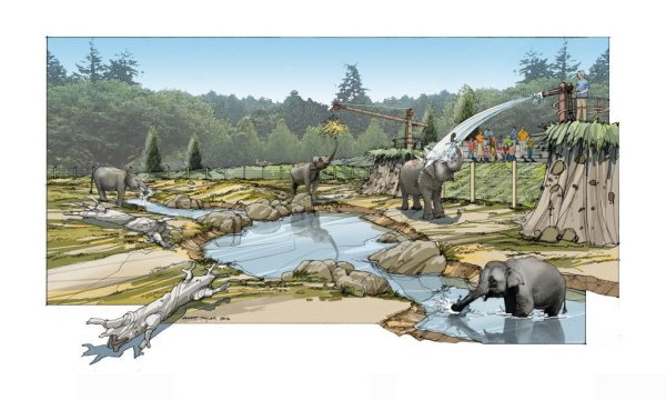 Композиция зоопарк